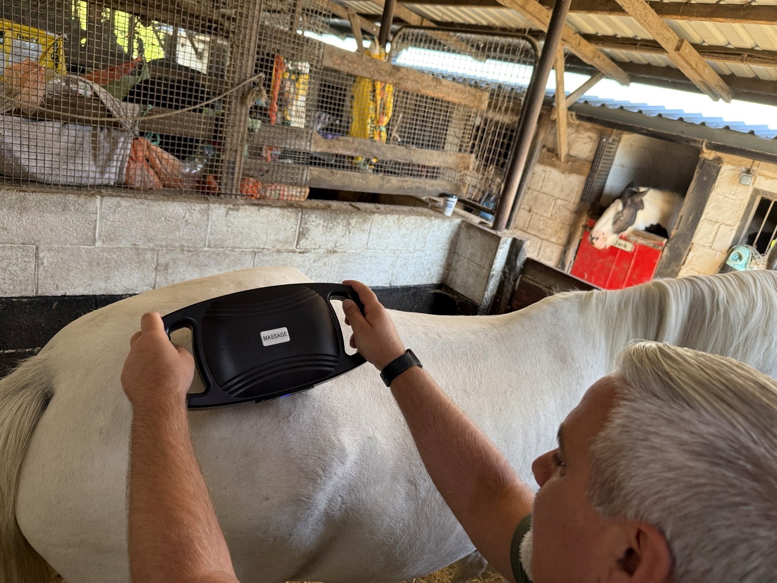 EquiRestore used across a grey horse's back